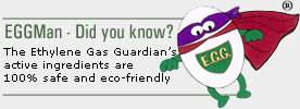 EGGMan Did you Know?